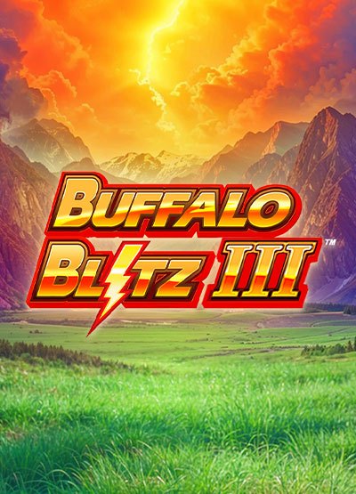 Buffalo Blitz 3 game cover